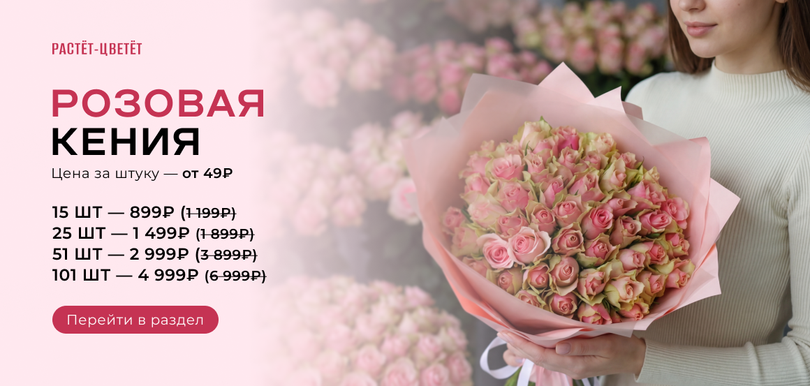Розовая роза Кения (40 см) от 49 руб