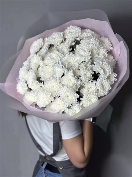 Белая пушистая хризантема в пленке (11шт) 5656555555 - фото 635693