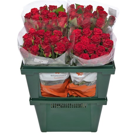 Красные розы (пачка 10шт) 45468797 в Липецке