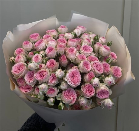 Кустовые розы Кейт в пленке (15шт) 9876564 в Липецке