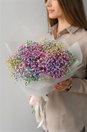 Гипсофила радужная (7шт) 149293 в Липецке