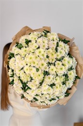 Белые хризантемы 51 шт 149351