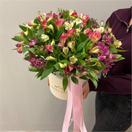 Альстромерия МИКС в шляпной коробке ( 35шт) 868766786