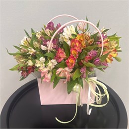 Альстромерия МИКС в сумочке Мастхэв ( 15шт) 55500550500