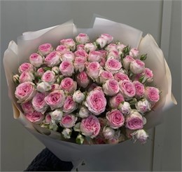 Кустовые розы Кейт в пленке (15шт) 9876564 в Липецке