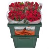Красные розы (пачка 10шт) 45468797 в Липецке
